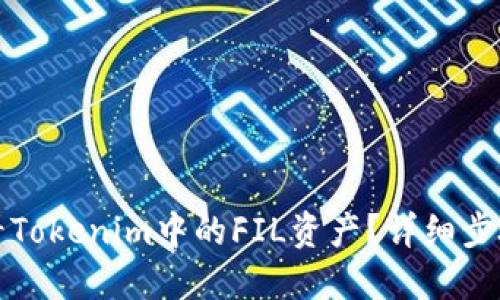 如何查看Tokenim中的FIL资产？详细步骤与指南