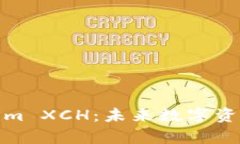 深入解析Tokenim XCH：未来数字资产交易的新机遇