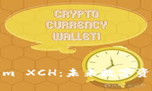 深入解析Tokenim XCH：未来数字资产交易的新机遇