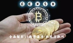 全面解析58数字货币：机遇