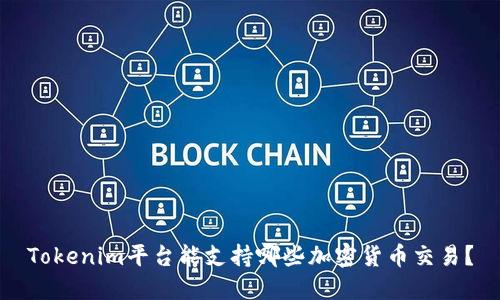 Tokenim平台能支持哪些加密货币交易？