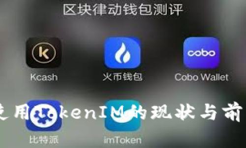台湾使用TokenIM的现状与前景分析