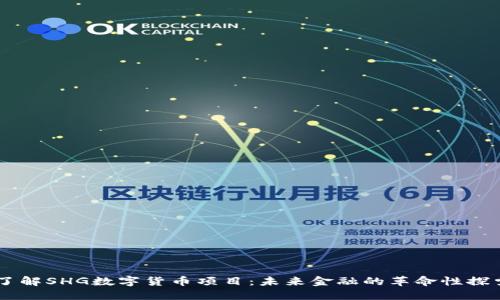 了解SHG数字货币项目：未来金融的革命性探索