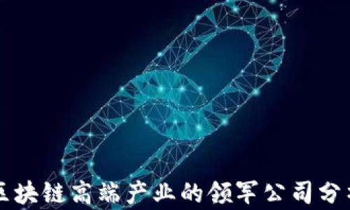 
区块链高端产业的领军公司分析