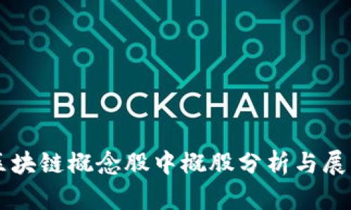 区块链概念股中概股分析与展望