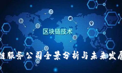 区块链服务公司全景分析与未来发展趋势