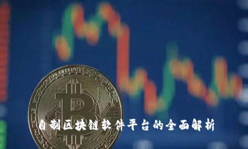 自制区块链软件平台的全面解析